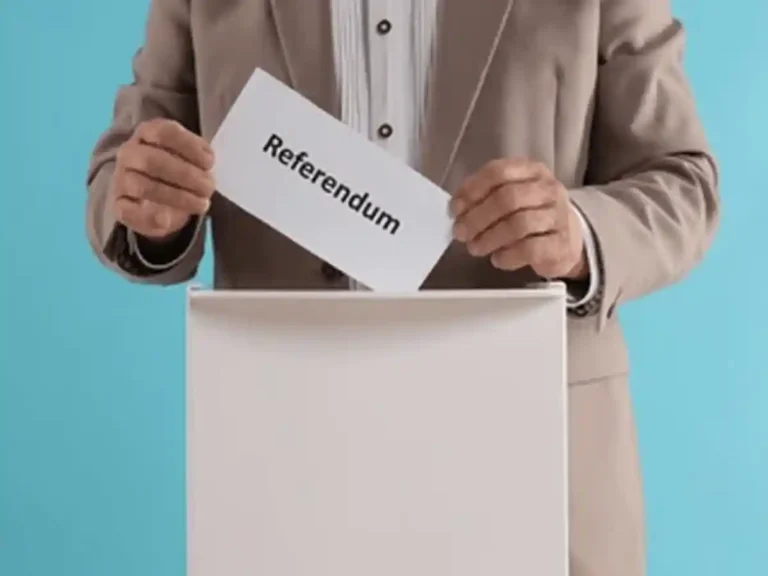 What is a referendum and how is it conducted?