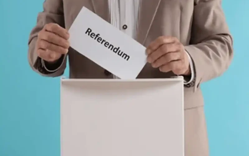 What is a referendum and how is it conducted?
